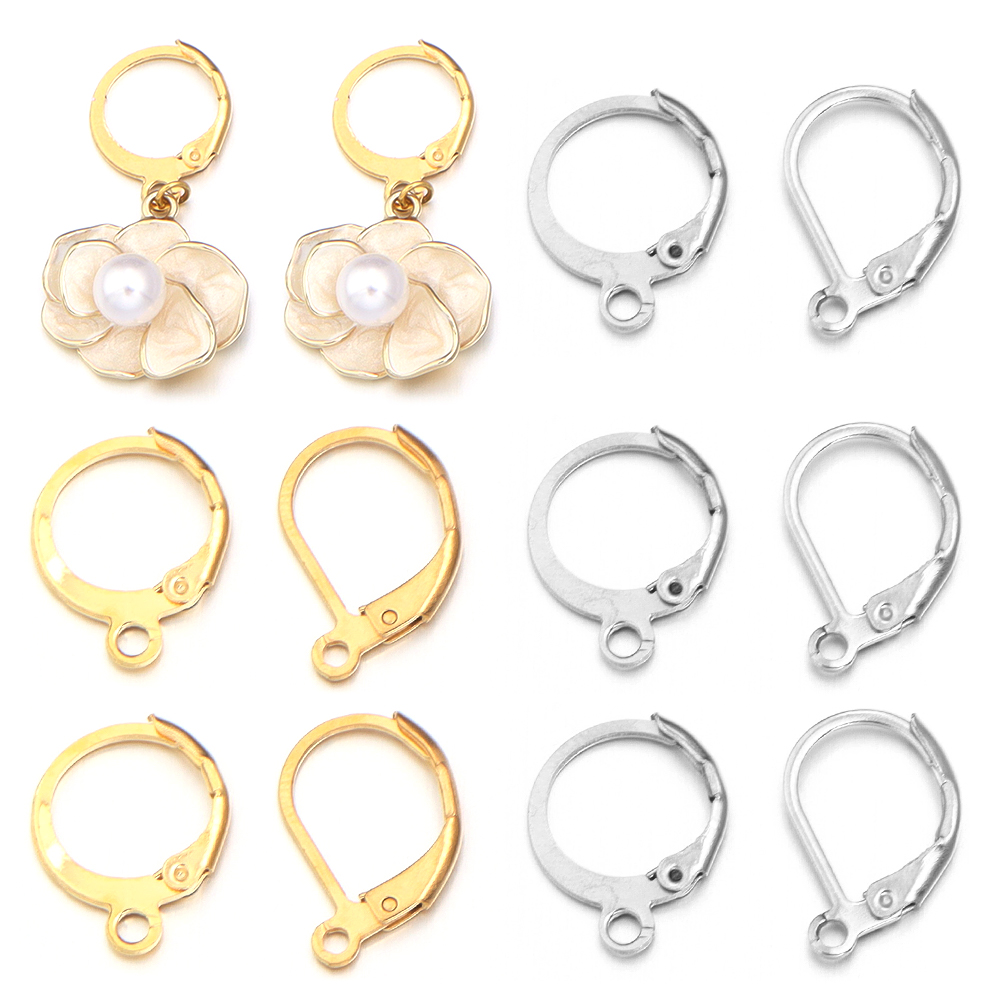 20 stks/partij Rvs Oorhaak Ron - Jewelry Making Earring Supplies recensie en prijs